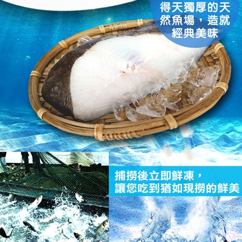 【賣魚的家】帝王級超厚切比目魚-細節圖2