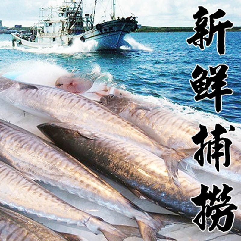 【賣魚的家】極鮮土魠魚片-細節圖2