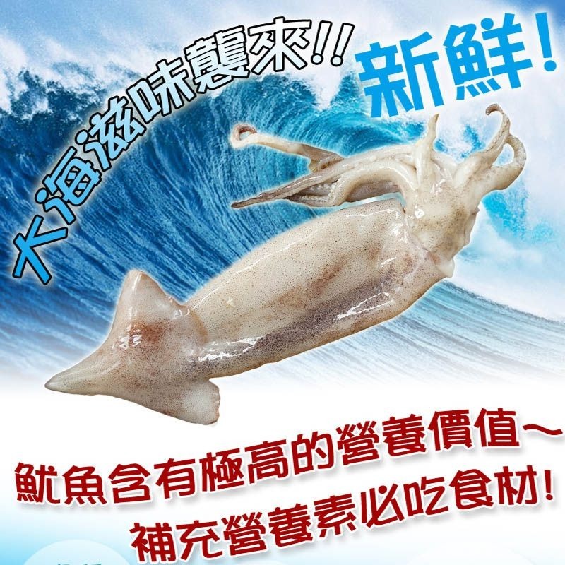 【賣魚的家】深海整尾大魷魚-細節圖2