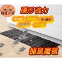台灣出貨 隱形捕鼠魔毯 120cm 捕鼠 黏鼠毯 超強力黏鼠板 粘鼠板 捕鼠神器 滅鼠魔毯 捕鼠 老鼠藥 捕鼠器-規格圖9