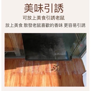 台灣品牌 補鼠大叔  隱形 透明 黏鼠毯 黏鼠帶 黏鼠板 台灣出貨-細節圖4
