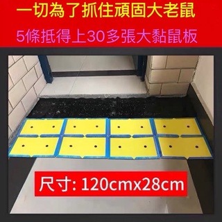 台灣品牌 補鼠大叔  隱形 透明 黏鼠毯 黏鼠帶 黏鼠板 台灣出貨-細節圖5