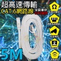 CAT6高傳輸網路線5米