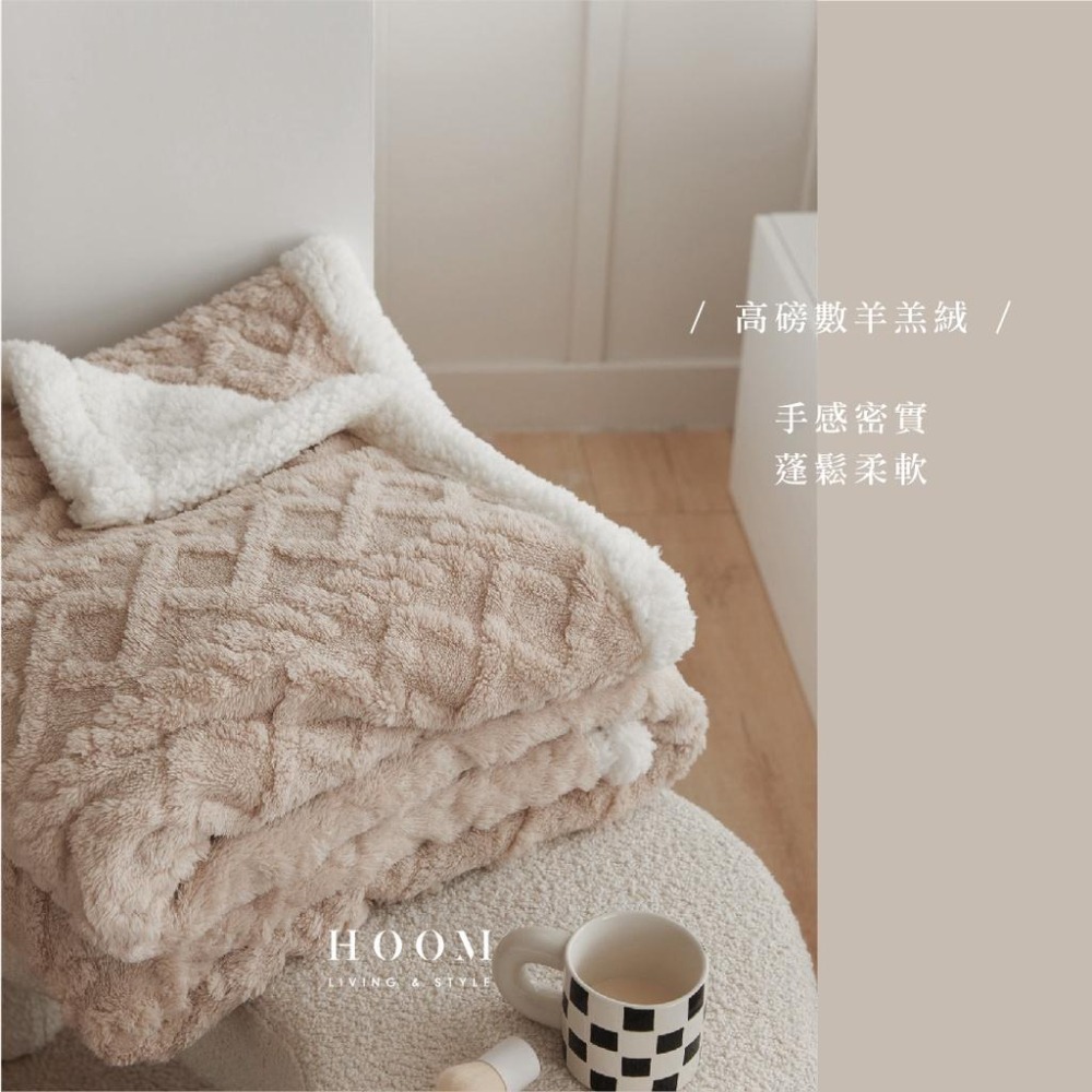 禾慕現貨🇹🇼 奶茶柔軟毛毯 空調毯 冷氣毯 保暖羊羔絨 毛毯 毯子 沙發毯 蓋毯 露營毯 萬用毯 保暖毯 絨毛毯-細節圖5