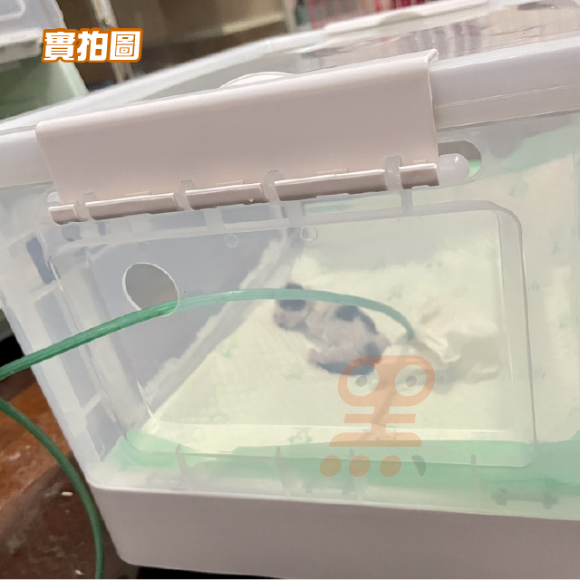黑溜總裁 寵物氧氣箱 氧氣箱 霧化箱 寵物噴霧室 氧氣室 寵物氧氣罩 寵物氧氣機 寵物製氧機-細節圖9