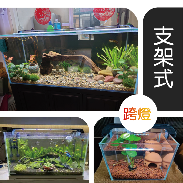 黑溜總裁 魚缸燈 水族 水族燈 2尺缸 水草燈 魚缸夾燈 水族跨燈 魚缸led燈 水族燈具 增豔燈 吉印水族-細節圖6