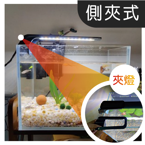 黑溜總裁 魚缸燈 水族 水族燈 2尺缸 水草燈 魚缸夾燈 水族跨燈 魚缸led燈 水族燈具 增豔燈 吉印水族-細節圖8