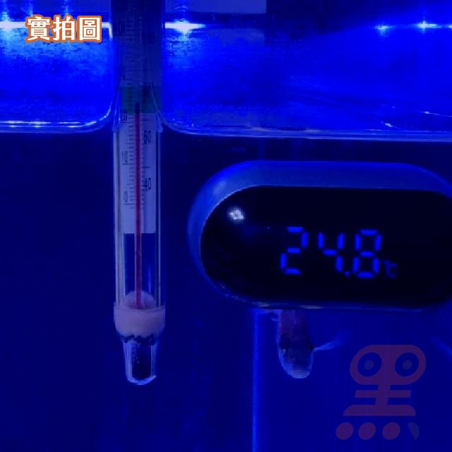 黑溜總裁 魚缸溫度計 水族用品 水族溫度計 電子溫度計 水族箱溫度計 感應式溫度計 LED溫度計 吉印藍眼睛魚缸溫度計-細節圖9