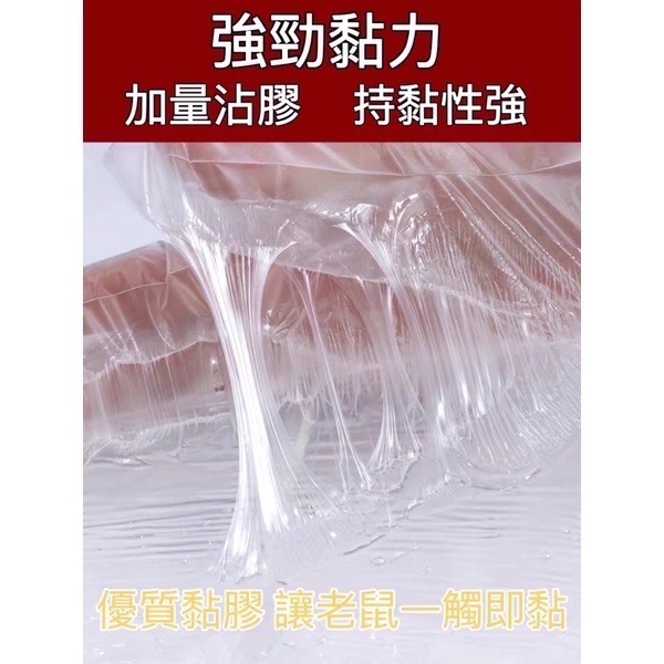 捕鼠大叔 隱形  黑色 黏鼠帶 黏鼠毯 黏鼠板 捕鼠用品-細節圖2