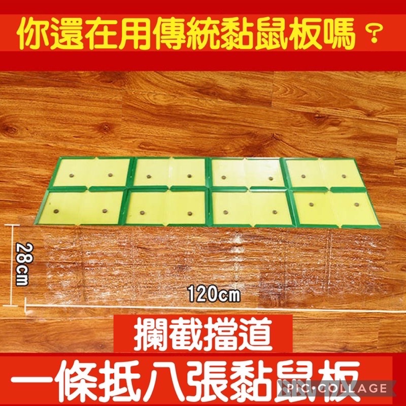 ￼台灣出貨 隱形捕鼠魔毯 120cm 捕鼠 黏鼠毯 超強力黏鼠板 粘鼠板 捕鼠神器 滅鼠魔毯 捕鼠-細節圖2