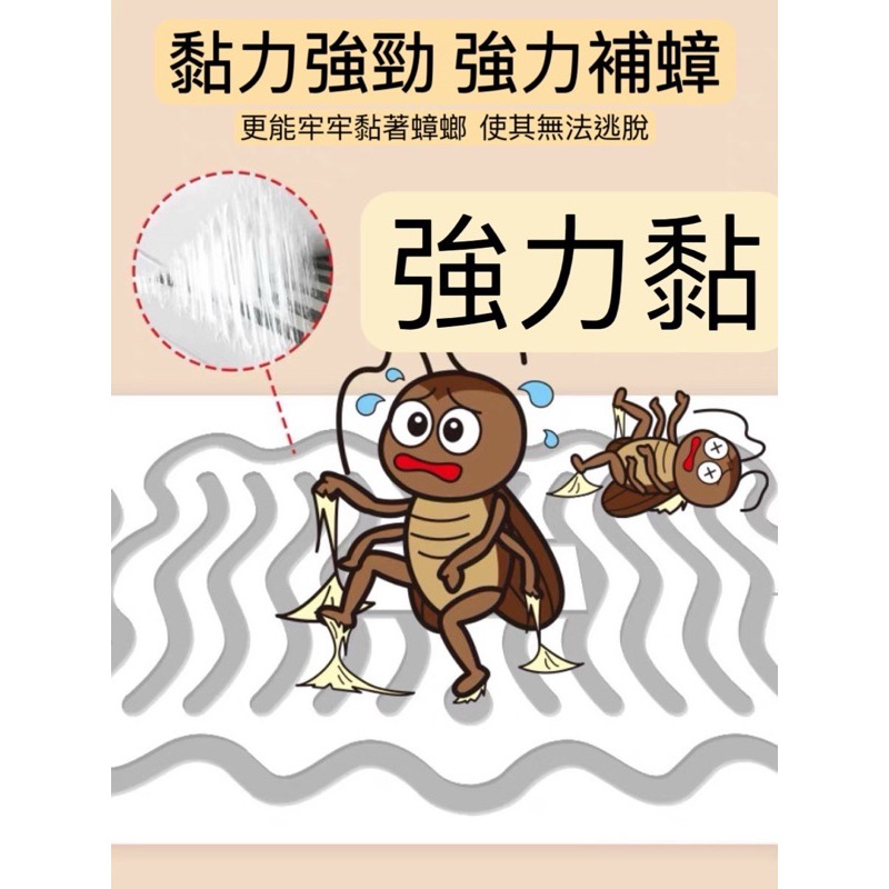 【台灣現貨】日本蟑螂屋 強力 蟑螂屋 母嬰適用 防蟑 滅蟑 補蟑 安全無毒 防小強 小強剋星-細節圖2