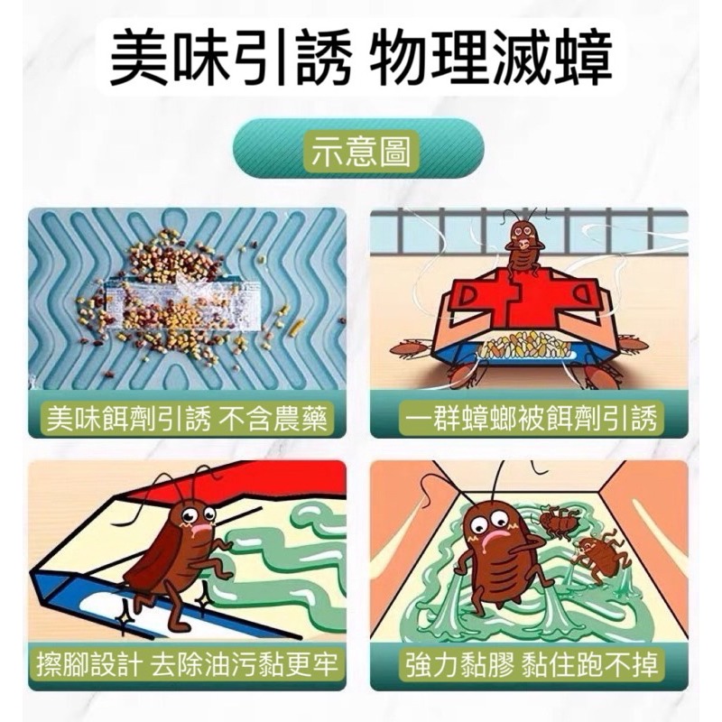 【台灣現貨】日本蟑螂屋 強力 蟑螂屋 母嬰適用 防蟑 滅蟑 補蟑 安全無毒 防小強 小強剋星-細節圖4