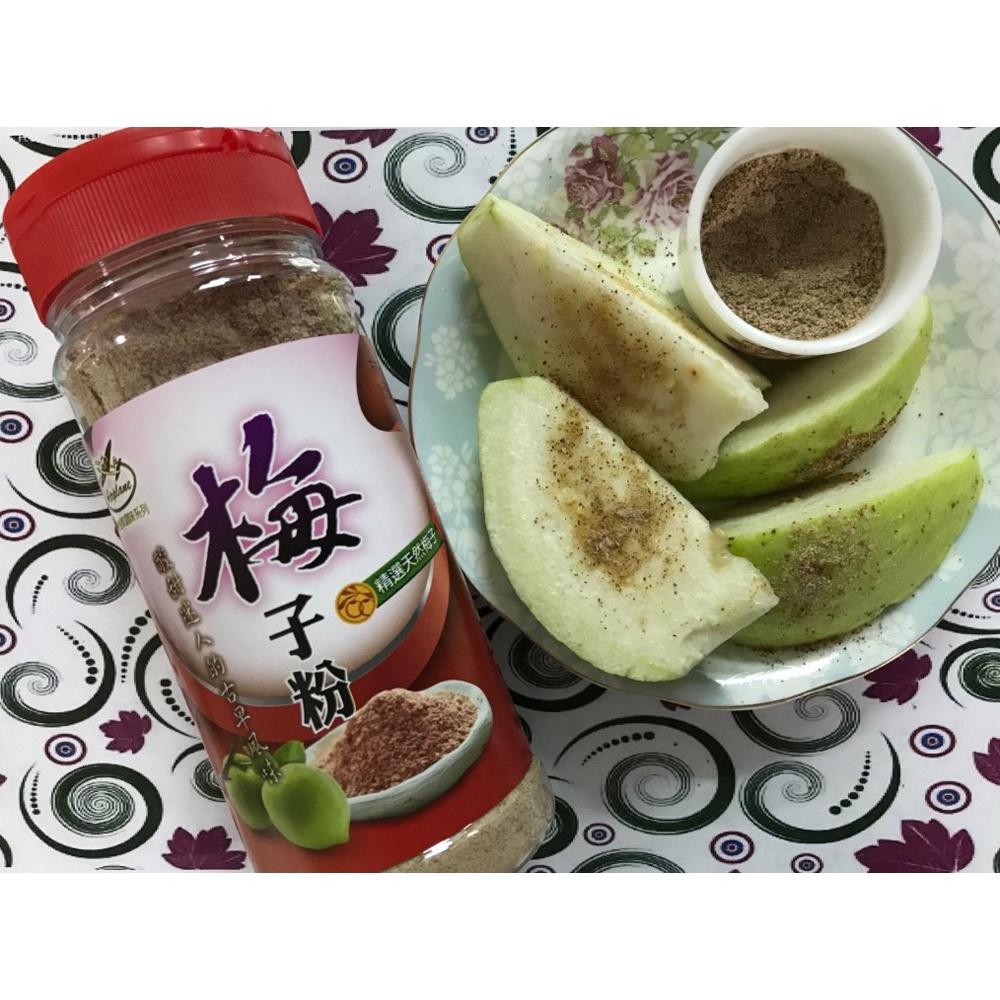 【柚子烘焙材料】梅子粉 300g 梅粉 水果 薯條 地瓜條 沾粉 甘甜爽口 醃製 調味 料理 梅子 台灣美食-細節圖3