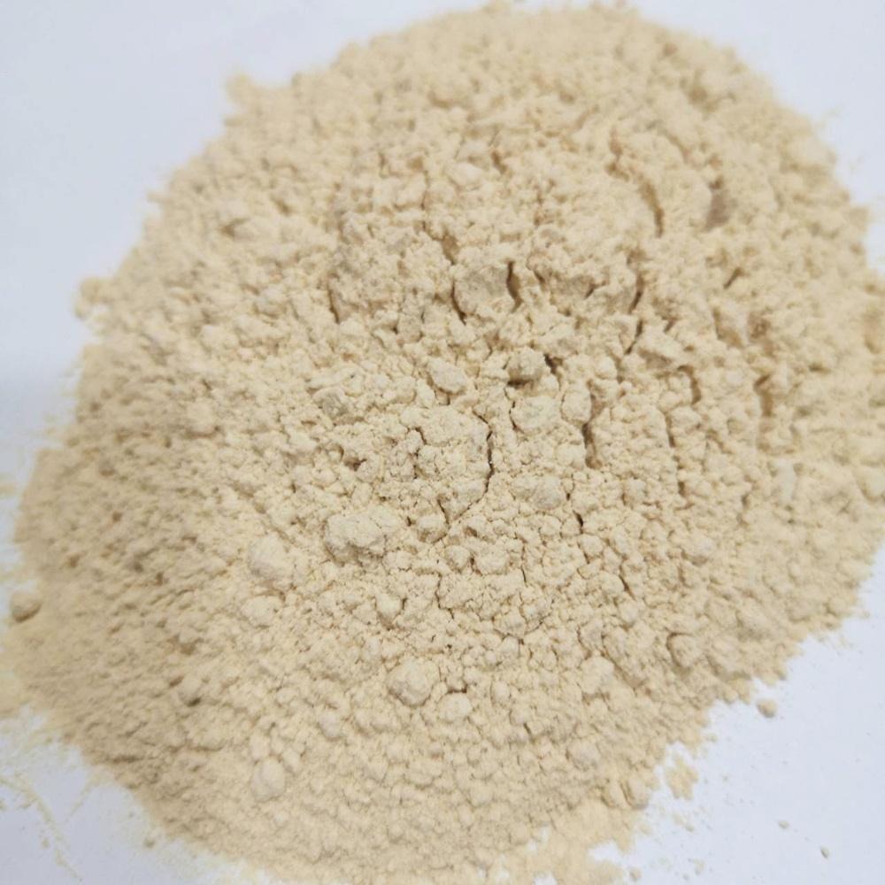 美廚洋蔥粉 210g 天然香料 美廚 洋蔥粉 洋蔥 佐料 醃肉 醃製 調味 烹飪 湯類 魚類 沙司 醃漬 可代替新鮮洋蔥-細節圖3