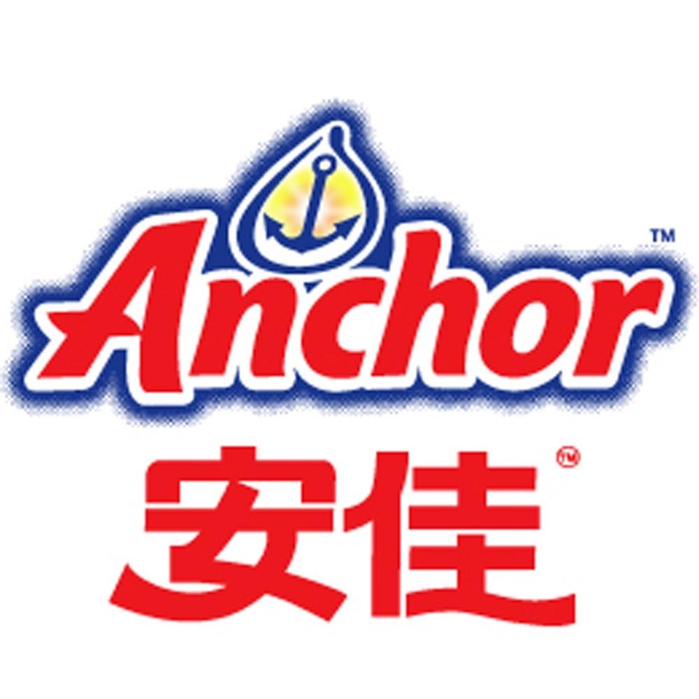 安佳Anchor 安佳 帕米桑乳酪粉 1kg(低溫宅配) 安佳帕瑪森乳酪粉 起司粉 乳酪粉 安佳帕米桑乳酪粉 安佳起司粉-細節圖3