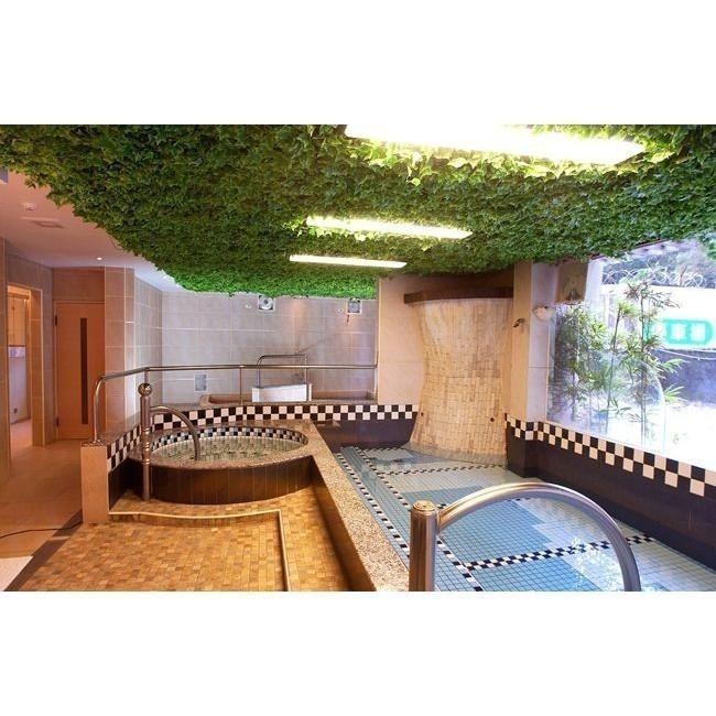 【Rock的家】礁溪美嘉美大飯店 溫泉闔家人房 含早餐+泡湯SPA 臺中可面交-細節圖3