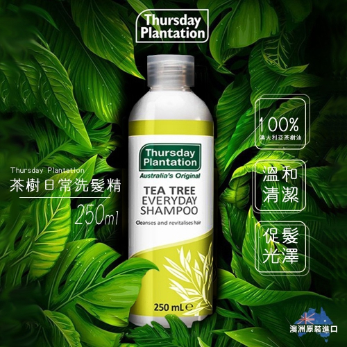 【Thursday Plantation 星期四農莊】茶樹日常洗髮精 250ml (澳洲原裝進口)
