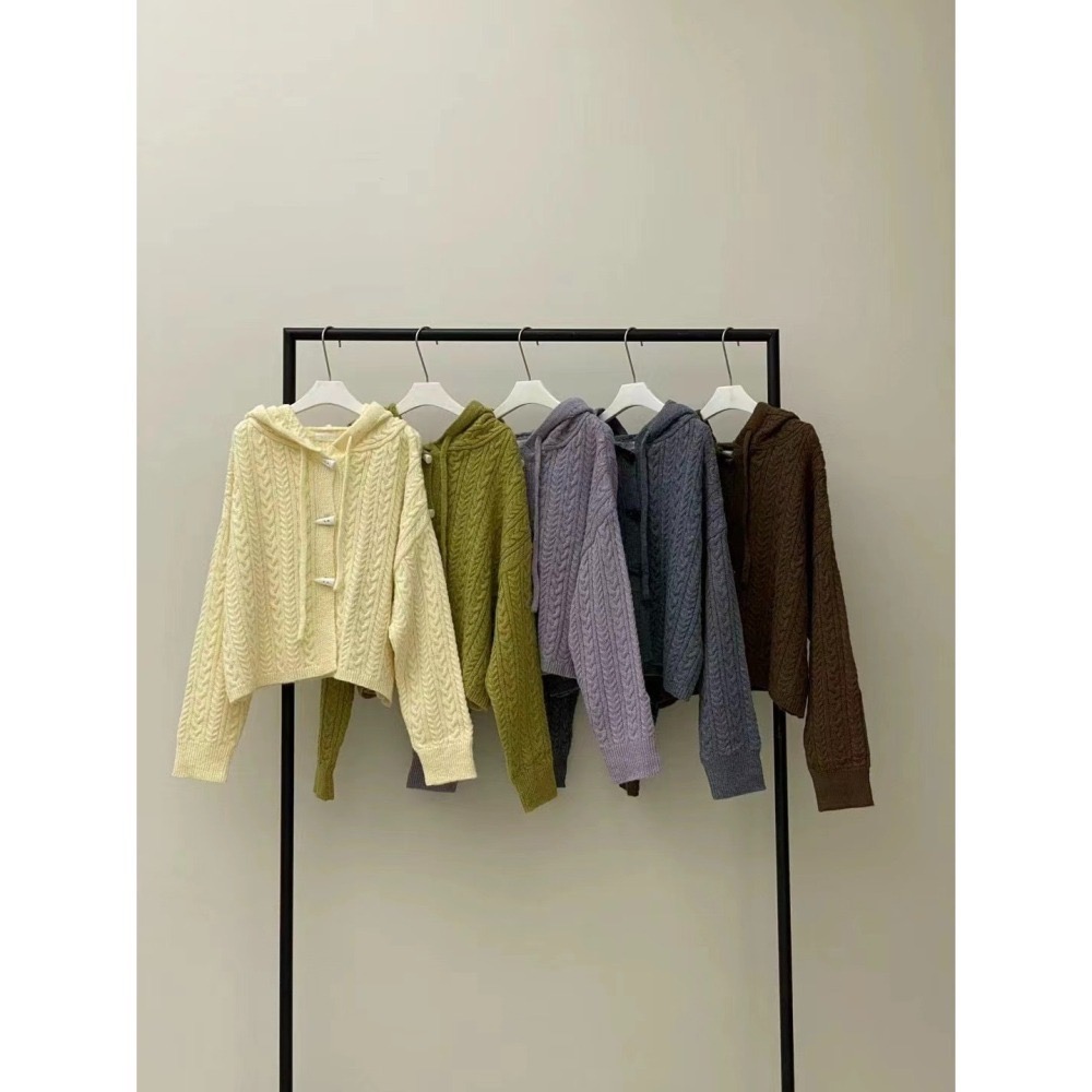 結束營業現貨出清❣️玖月。September❣️ 正韓 質感家羊毛麻花針織牛角扣連帽外套 2310E03-細節圖6