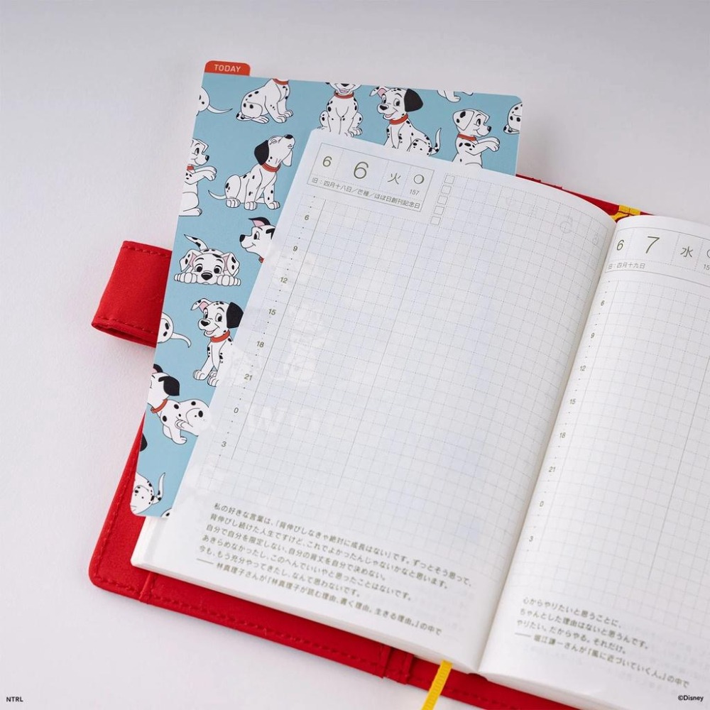 【現貨】HOBO日 墊板尺 101忠狗 迪士尼 (A6/A5/Weeks三種尺寸) 手帳週邊 Disney-細節圖9