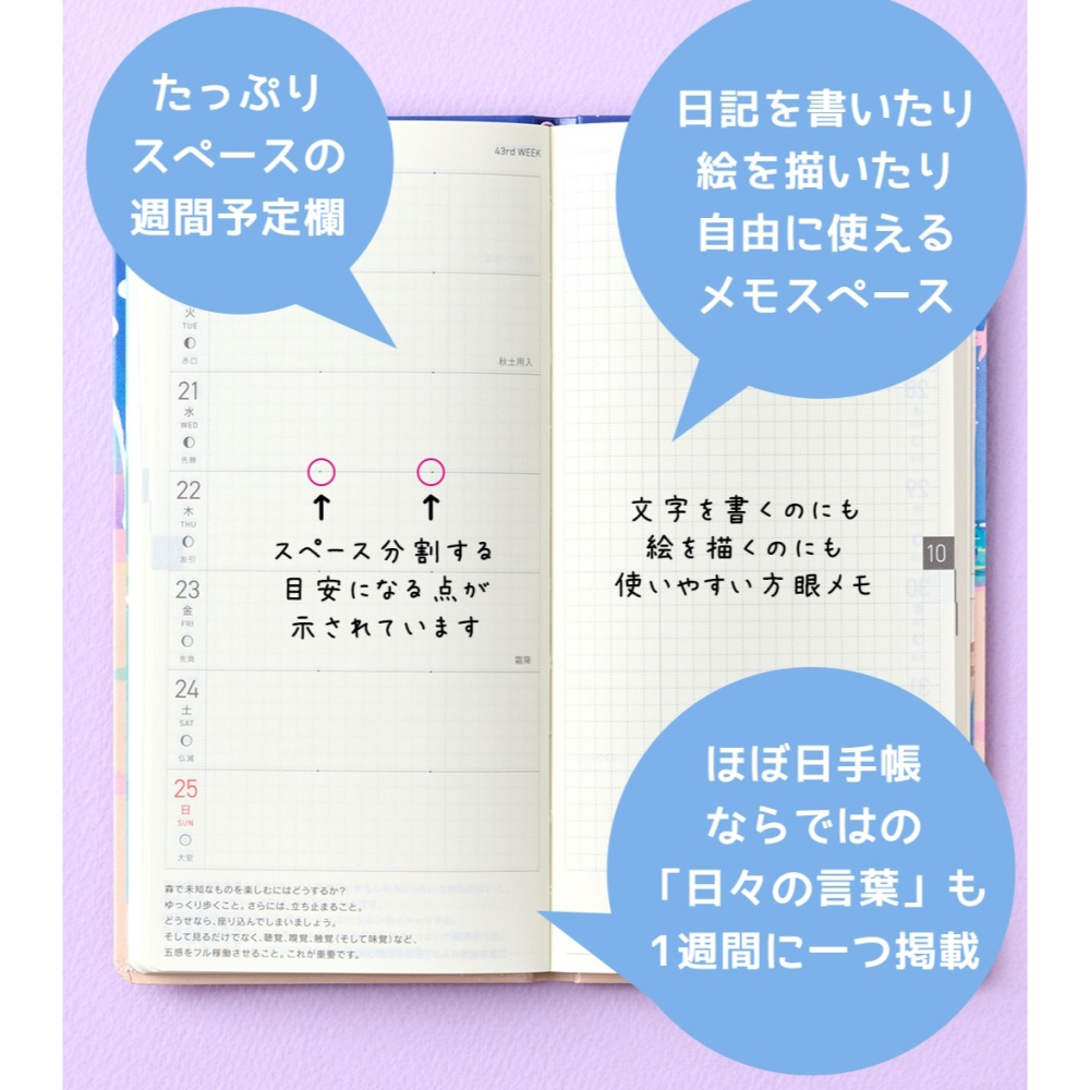 【預購】HOBO日2027年Weeks週手帳  卡娜赫拉的小動物 限定款  (贈品-壓克力繪圖尺)-細節圖7