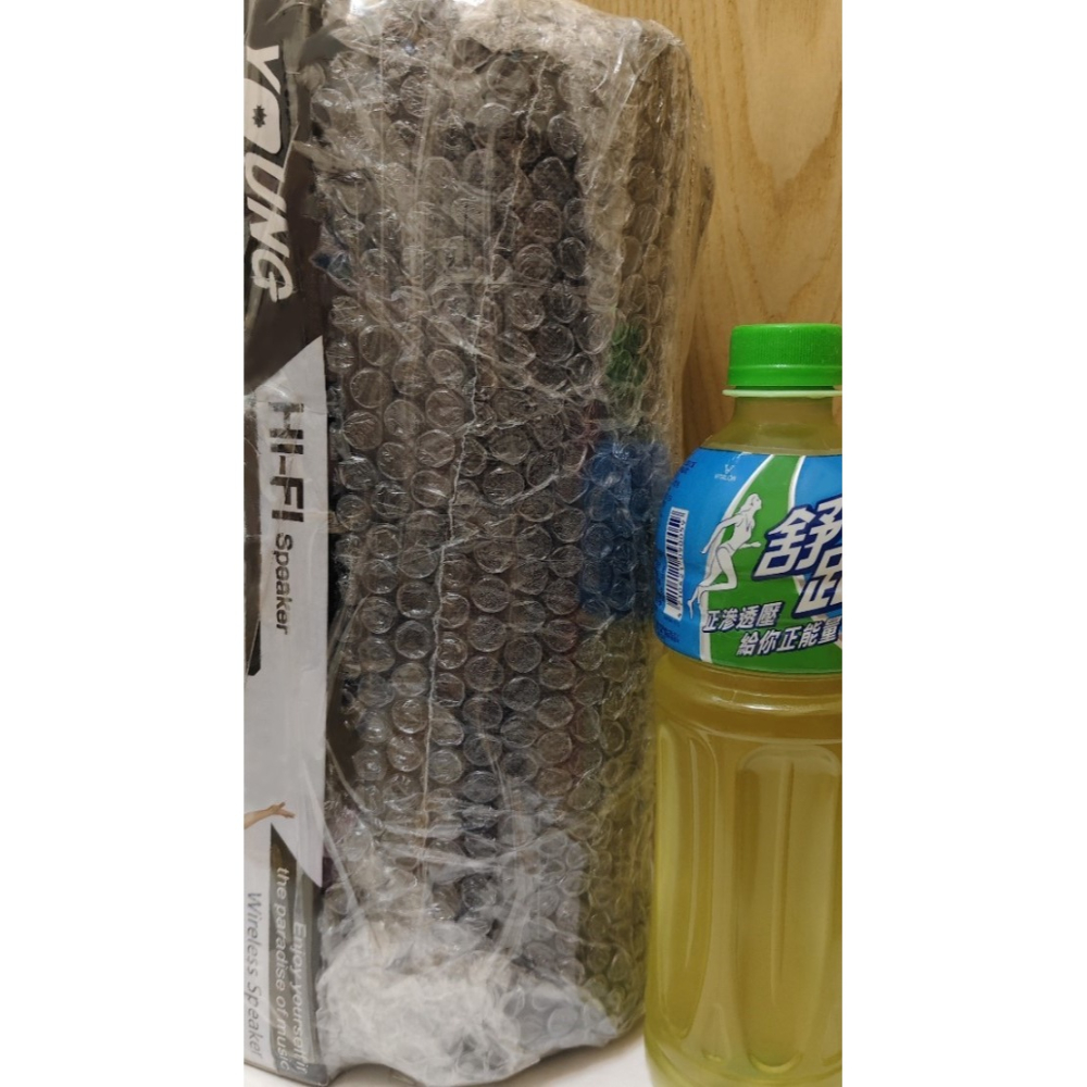 YOUNG BS-202 無線音箱 / 喇叭 / 手提式音響 / 可接麥克風-細節圖4