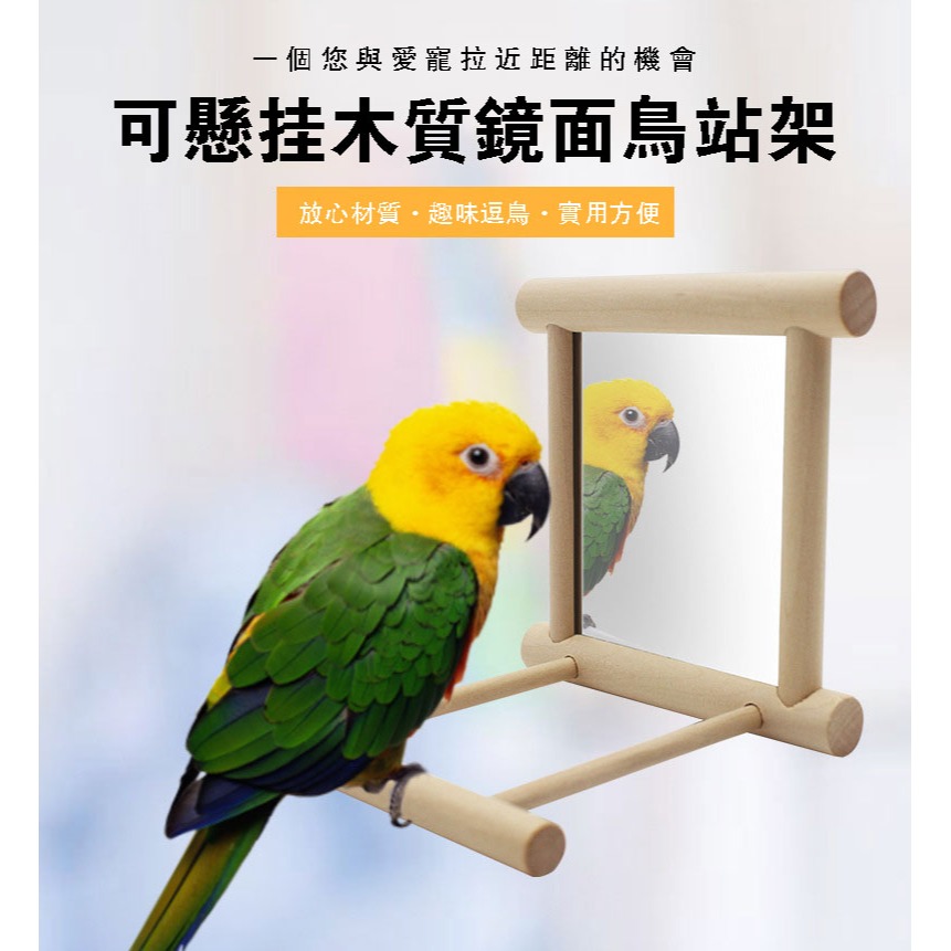 鸚鵡玩具天然實木鳥鏡子適合小型鸚鵡 鳥用鏡子 鏡子站架懸掛式木質鏡面鳥站架 小鳥玩具-細節圖2