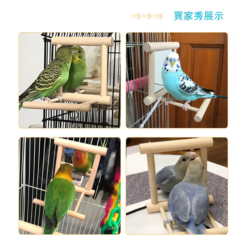 鸚鵡玩具天然實木鳥鏡子適合小型鸚鵡 鳥用鏡子 鏡子站架懸掛式木質鏡面鳥站架 小鳥玩具-細節圖7