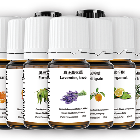 [24h 快速出貨] 芳療級 羅馬洋甘菊精油 10ml 按摩放鬆紓壓香氛抗菌抗病毒 清香集-細節圖5