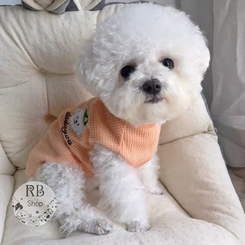 寵物透氣衣服 貓狗衣服 泰迪貓咪英短比熊 寵物衣服 四季可穿-細節圖7