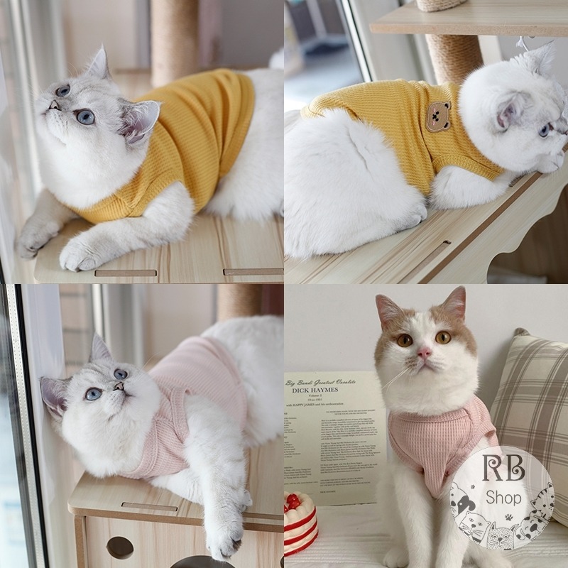 寵物春夏衣服 小熊背心 透氣 狗衣服 貓衣服 貓背心 狗背心 寵物衣服 四季可穿-細節圖4