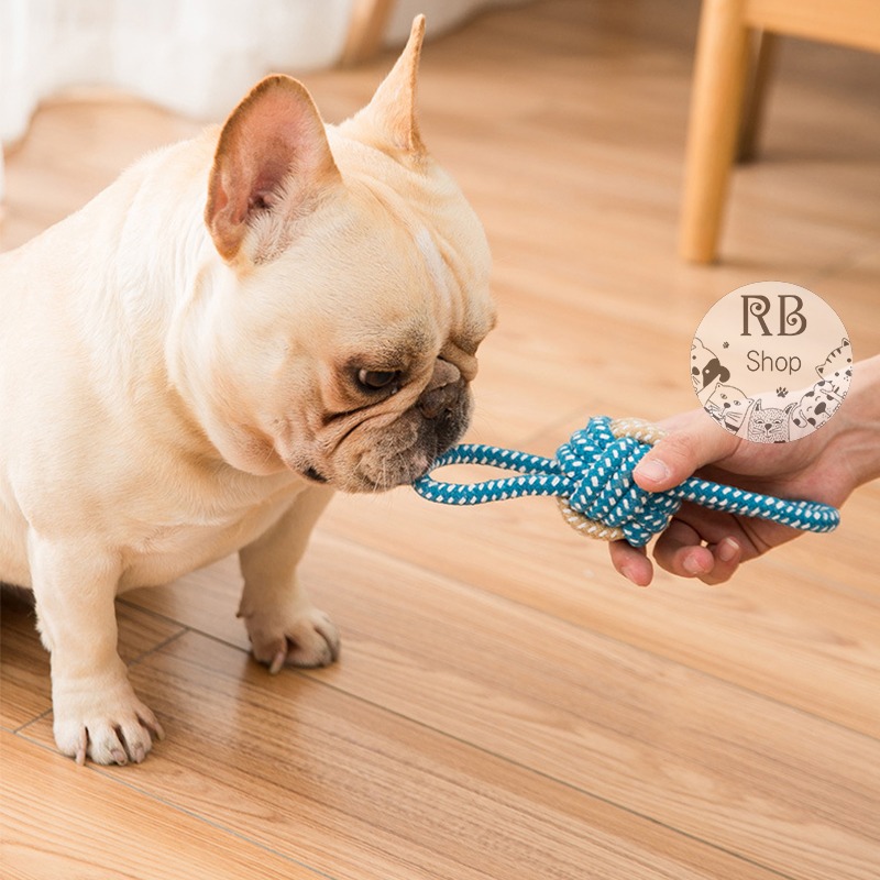 寵物棉繩玩具 狗狗玩具 磨牙訓練趣味玩具 耐咬玩具 編織棉繩結拉球-細節圖8