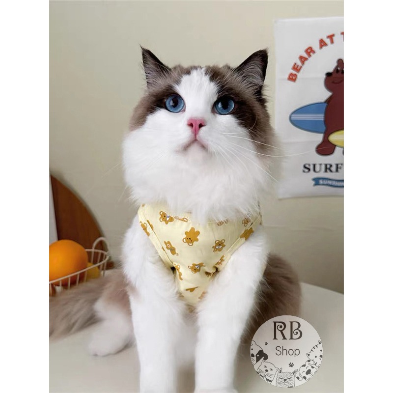 可愛小熊印花寵物衣服 輕薄透氣 無袖背心 貓狗衣服 ins泰迪 寵物衣服 四季可穿-細節圖4