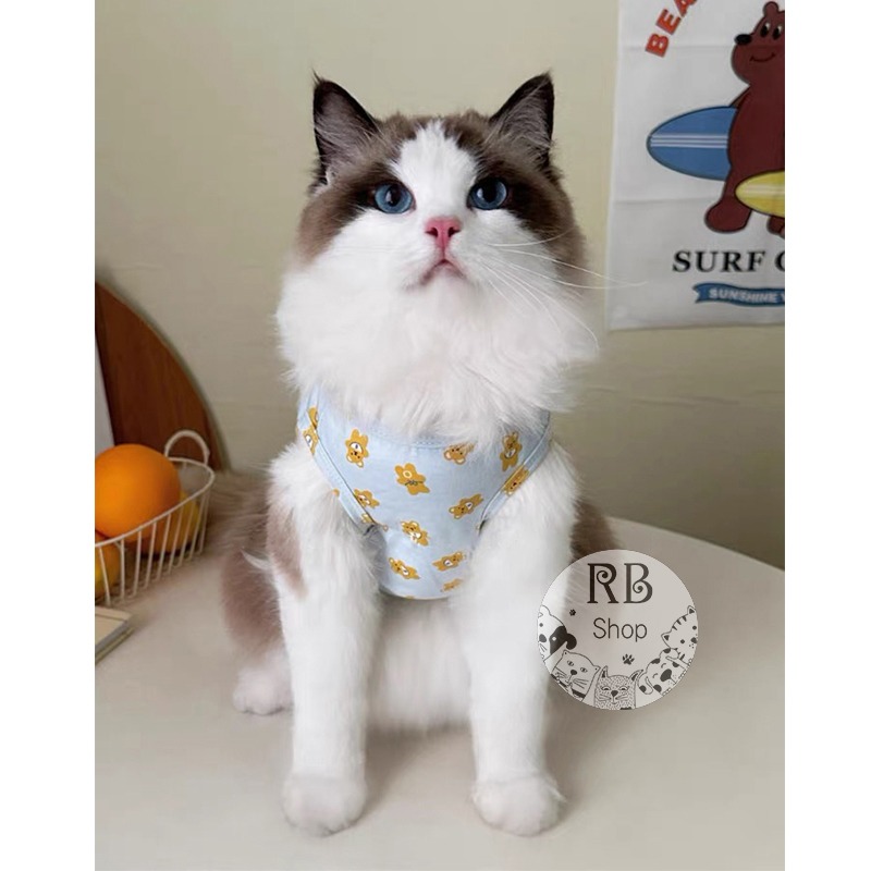 可愛小熊印花寵物衣服 輕薄透氣 無袖背心 貓狗衣服 ins泰迪 寵物衣服 四季可穿-細節圖5