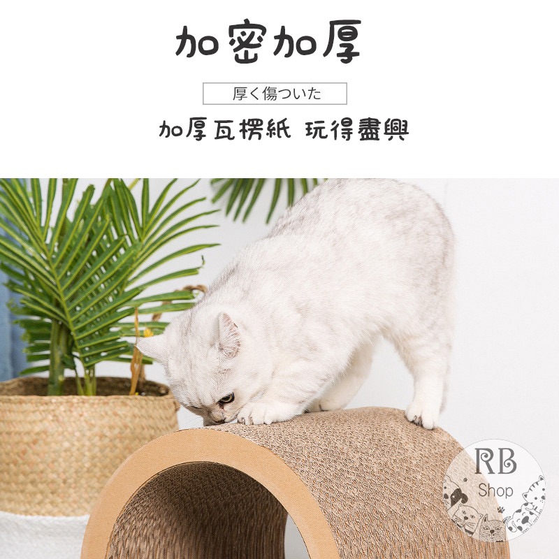 貓隧道 超值三入組 貓抓板 超耐抓 組合貓抓板 隧道貓抓板 磨爪器-細節圖3