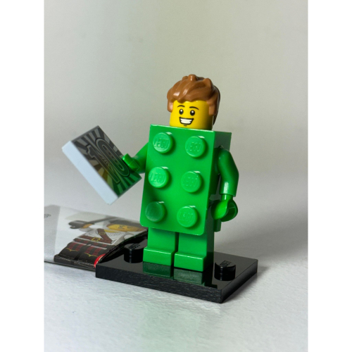 樂高 LEGO 人偶包 71027 綠色 磚塊人