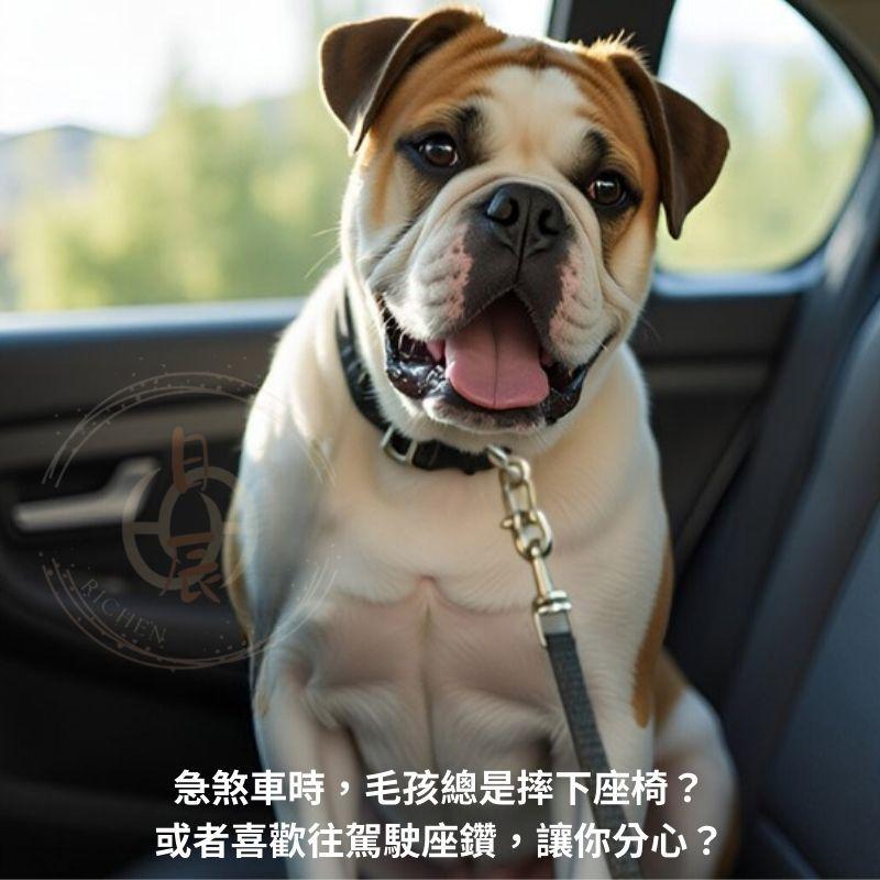 車載寵物安全插片 狗狗車用安全帶 寵物 汽車 安全帶 插片 牽引繩 插扣 金屬插扣 插銷 消音扣 RAV4 CRV-細節圖2