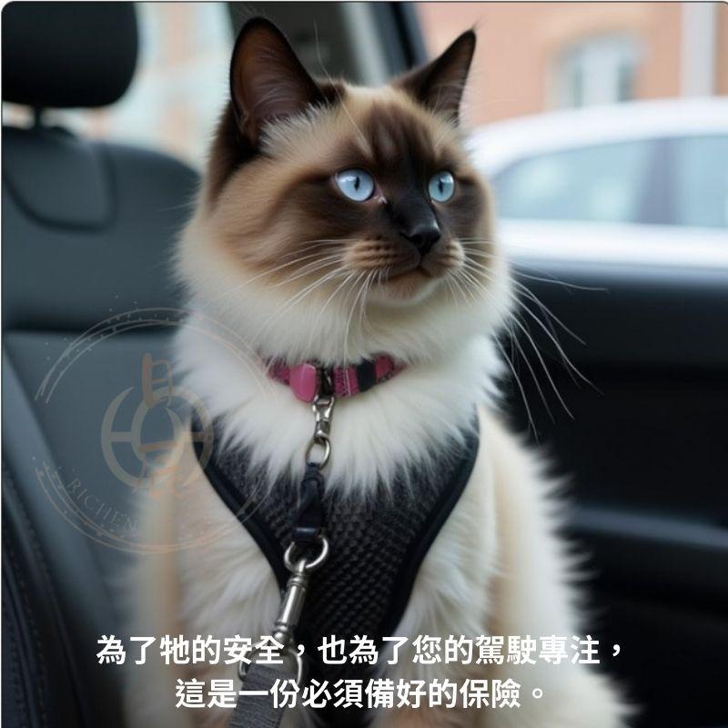 車載寵物安全插片 狗狗車用安全帶 寵物 汽車 安全帶 插片 牽引繩 插扣 金屬插扣 插銷 消音扣 RAV4 CRV-細節圖3