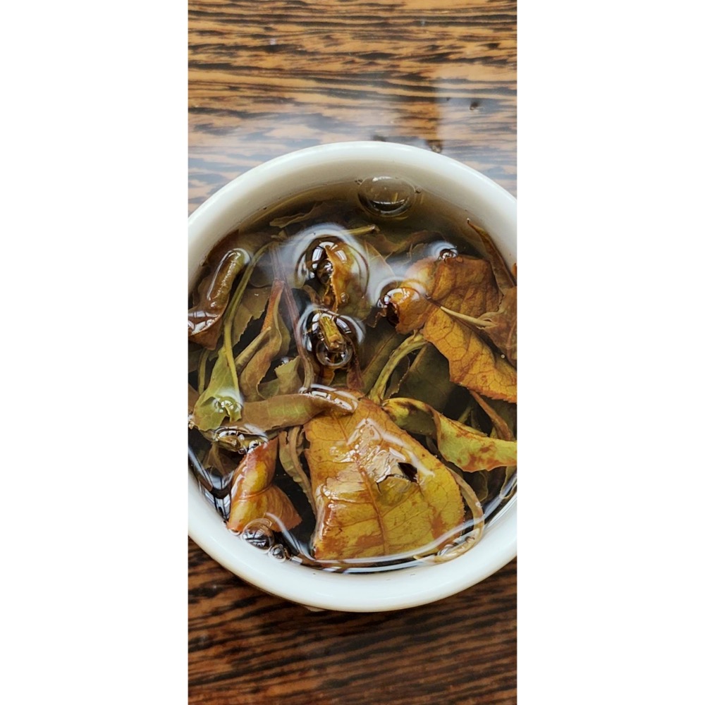 野山白茶（臺灣特有種茶樹）