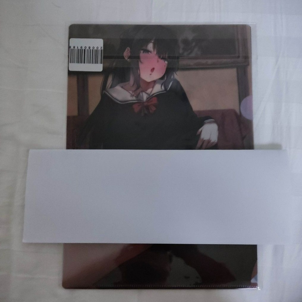 (現貨) (代售)虎之穴 弱電波展 資料夾 D款(2入) 【弱電波展】-細節圖2