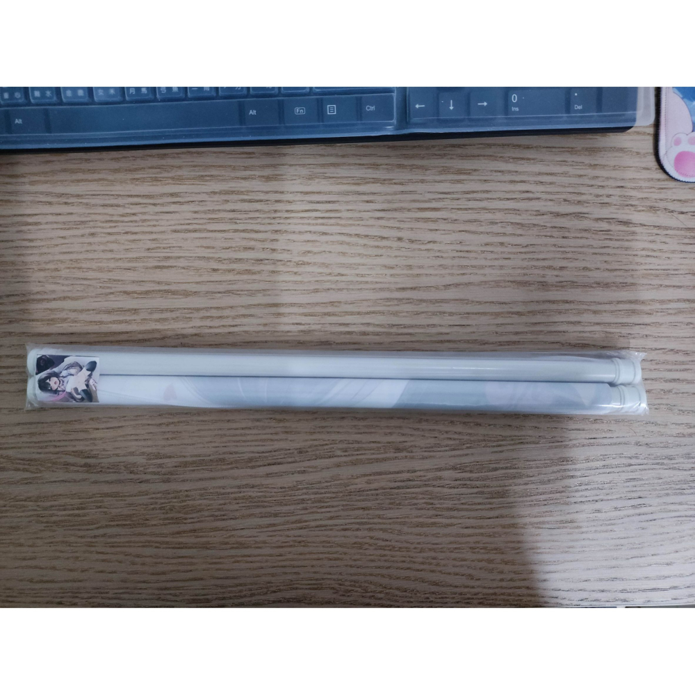 (現貨)有聖光版 Eclipse Feather 與妹妹(催眠狀態)愛意滿滿 B3掛軸(僅拆檢)-細節圖2