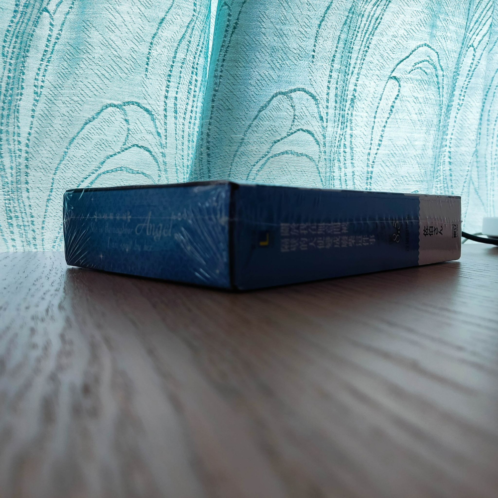 (現貨)(絕版)東立 輕小說 佐伯さん 關於我在無意間被隔壁的天使變成廢柴這件事 8.5 （首刷限定版）-細節圖8