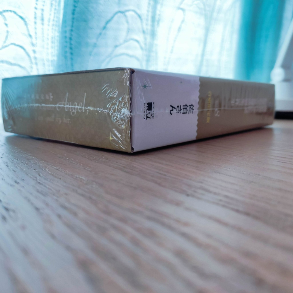 (現貨)(絕版)東立 輕小說 佐伯さん 關於我在無意間被隔壁的天使變成廢柴這件事 8（首刷限定版）-細節圖6