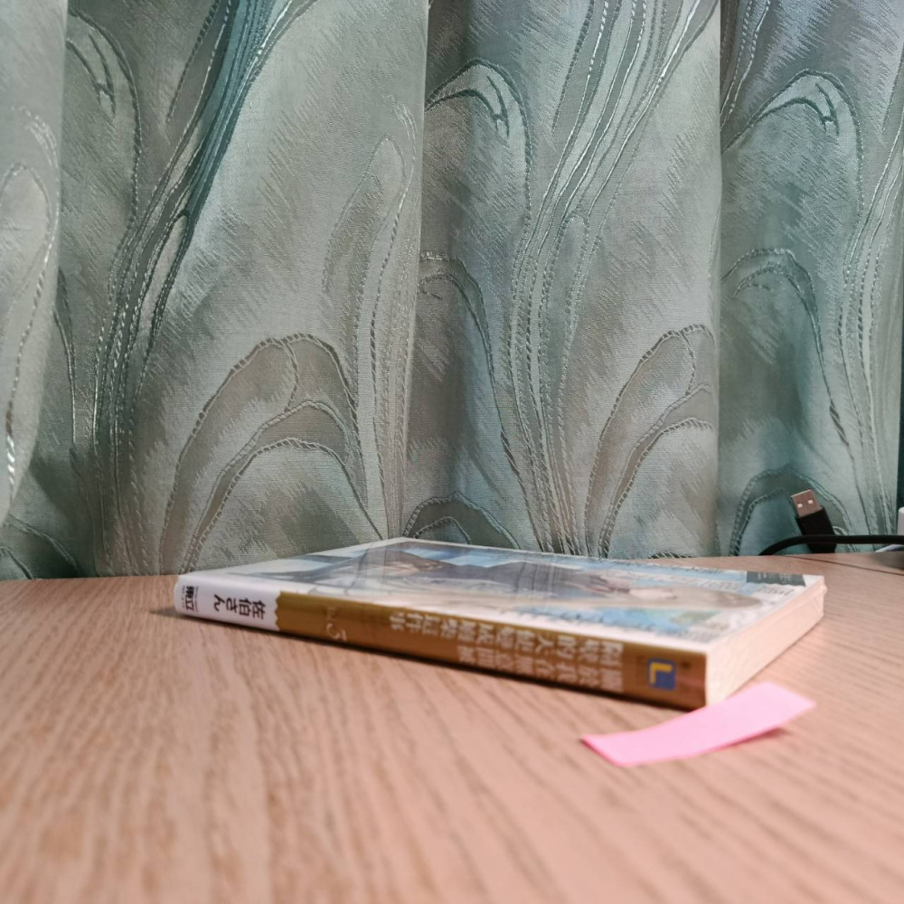 (現貨)東立 輕小說 佐伯さん 關於我在無意間被隔壁的天使變成廢柴這件事 3（普通版）-細節圖4