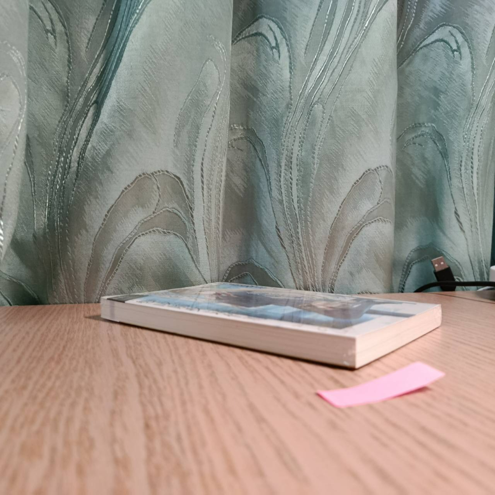 (現貨)東立 輕小說 佐伯さん 關於我在無意間被隔壁的天使變成廢柴這件事 3（普通版）-細節圖5