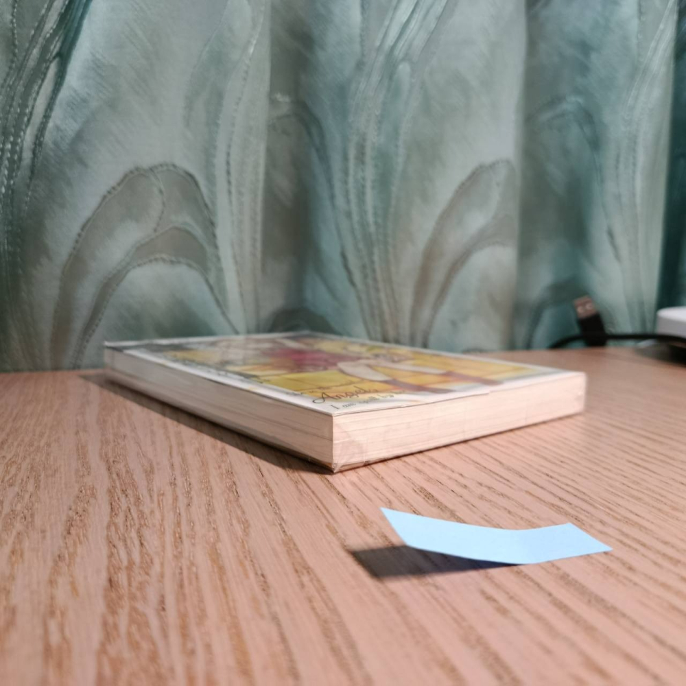 (現貨)(二手)東立 輕小說 佐伯さん 關於我在無意間被隔壁的天使變成廢柴這件事 4（首刷限定版）（含小冊子）-細節圖6