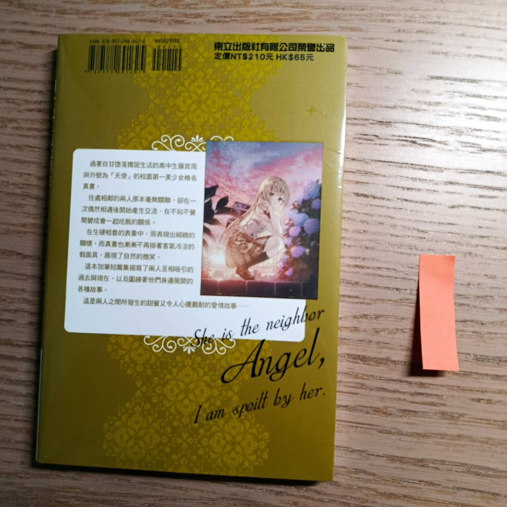 (現貨)東立 輕小說 佐伯さん 關於我在無意間被隔壁的天使變成廢柴這件事 5.5（普通版）-細節圖3