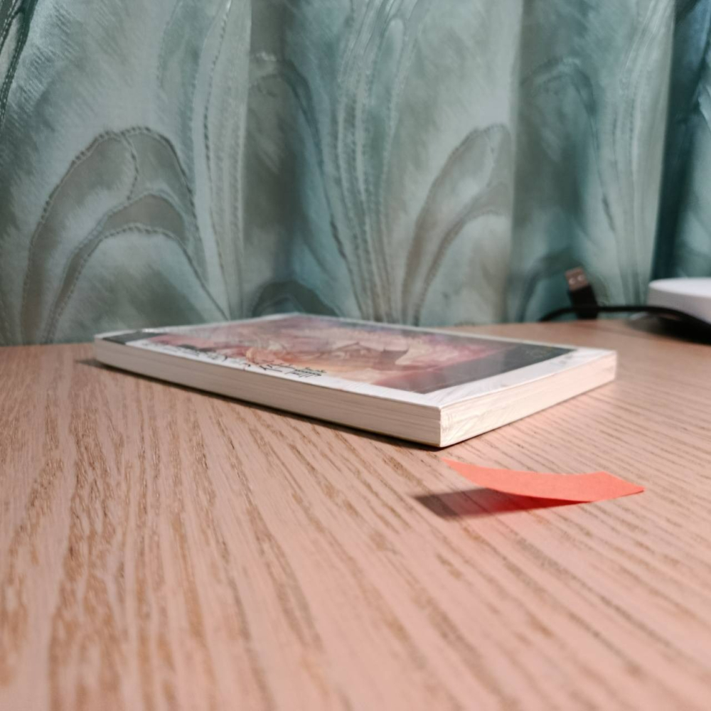 (現貨)東立 輕小說 佐伯さん 關於我在無意間被隔壁的天使變成廢柴這件事 5.5（普通版）-細節圖5