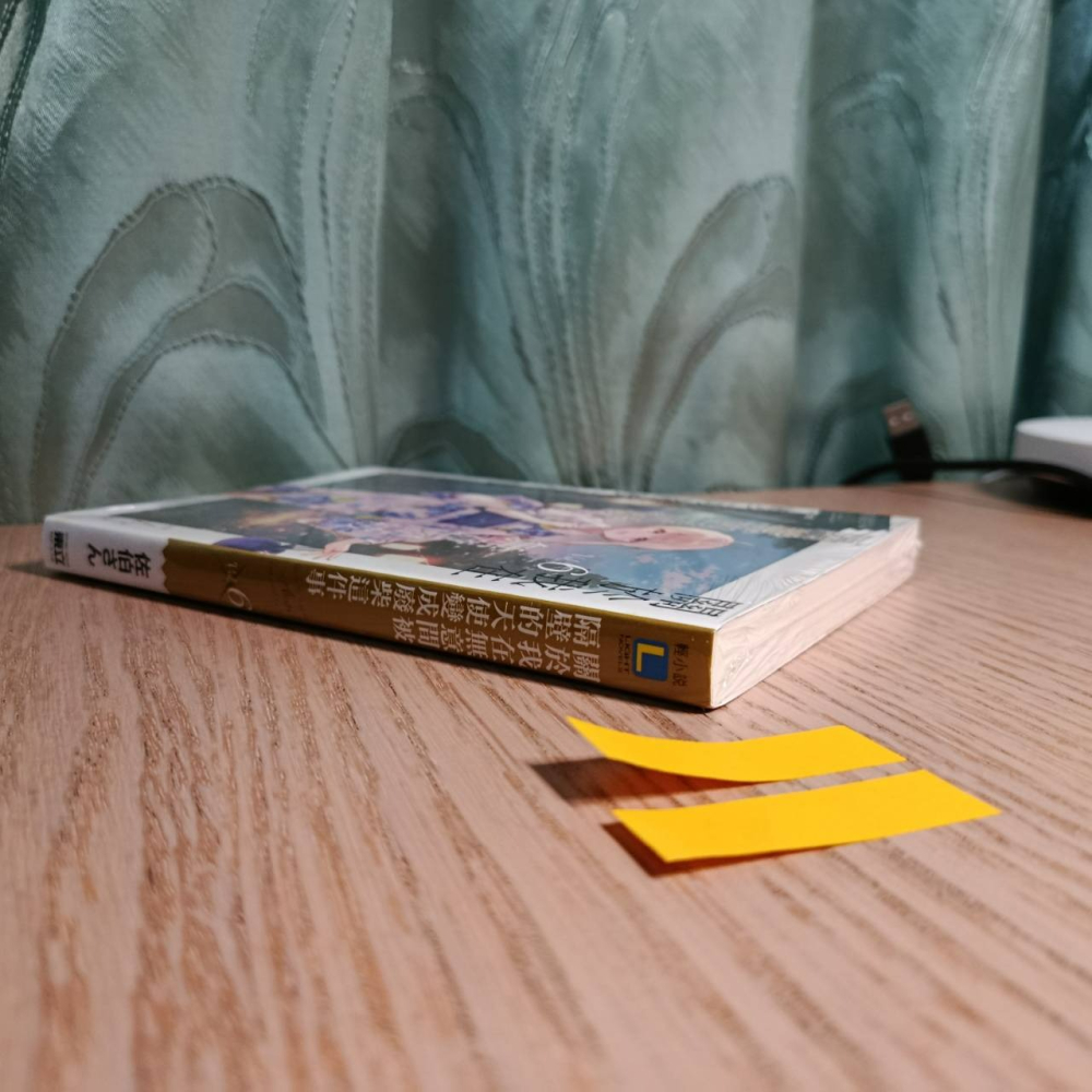 (現貨)東立 輕小說 佐伯さん 關於我在無意間被隔壁的天使變成廢柴這件事 6（普通版）-細節圖4