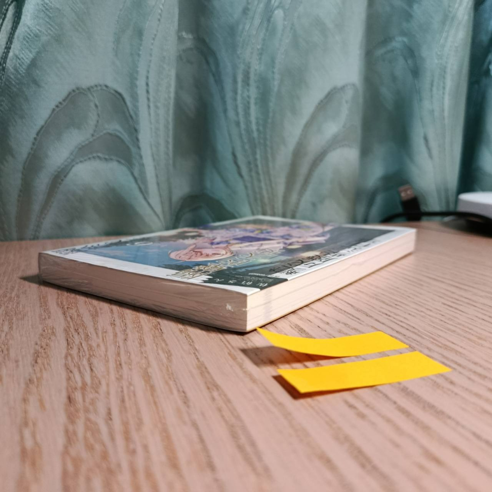 (現貨)東立 輕小說 佐伯さん 關於我在無意間被隔壁的天使變成廢柴這件事 6（普通版）-細節圖5