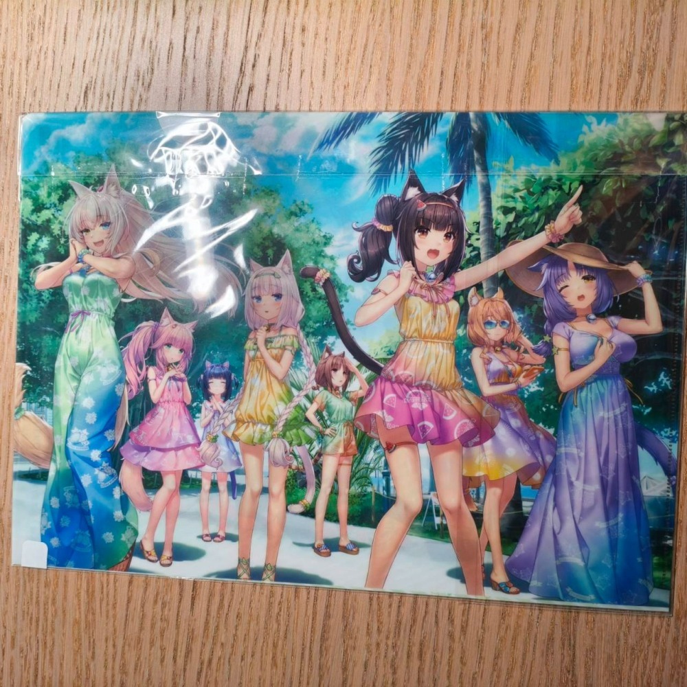 (現貨)(代售)未來數位 ネコぱら NEKOPARA After A4資料夾 さより（雙面） 時雨 草莓-細節圖3